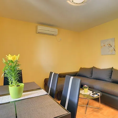 Puntica Apartment Liznjan